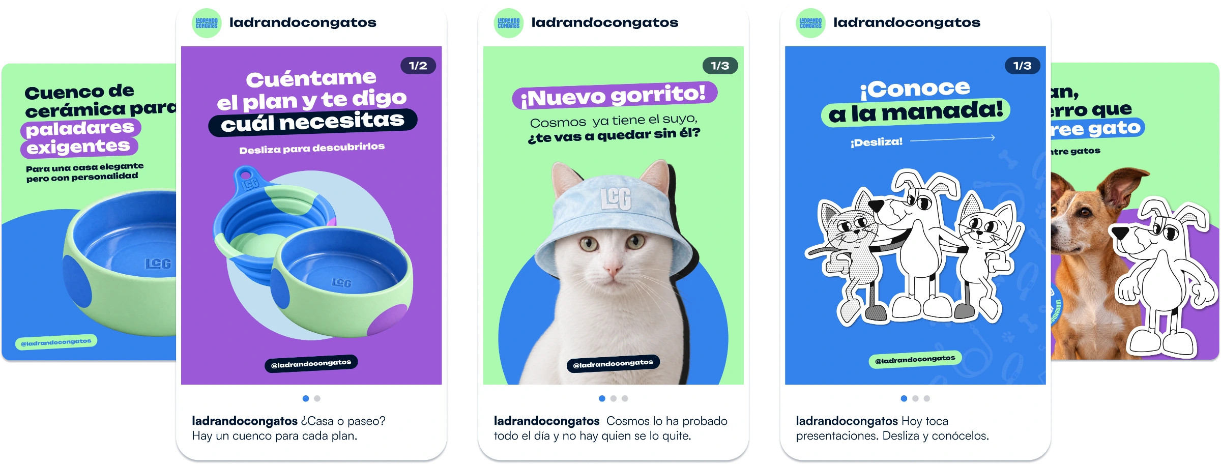 Diseño de carruseles de Instagram para LadrandoConGatos, por Mairu Studio
