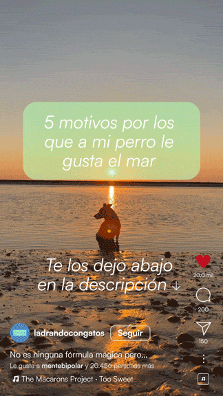 Reel animado de Instagram de LadrandoConGatos con Orban